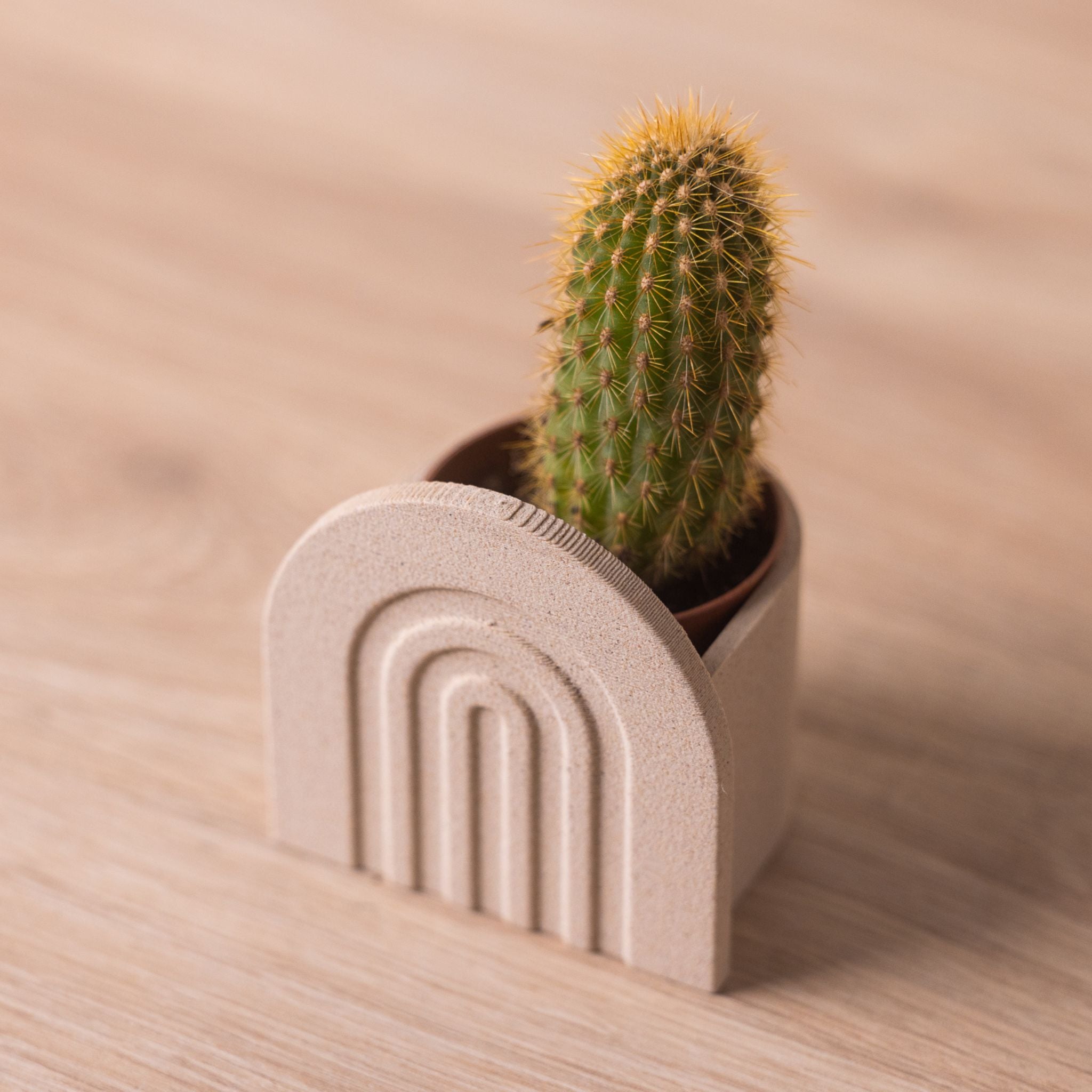 Mini cache-pot pour cactus